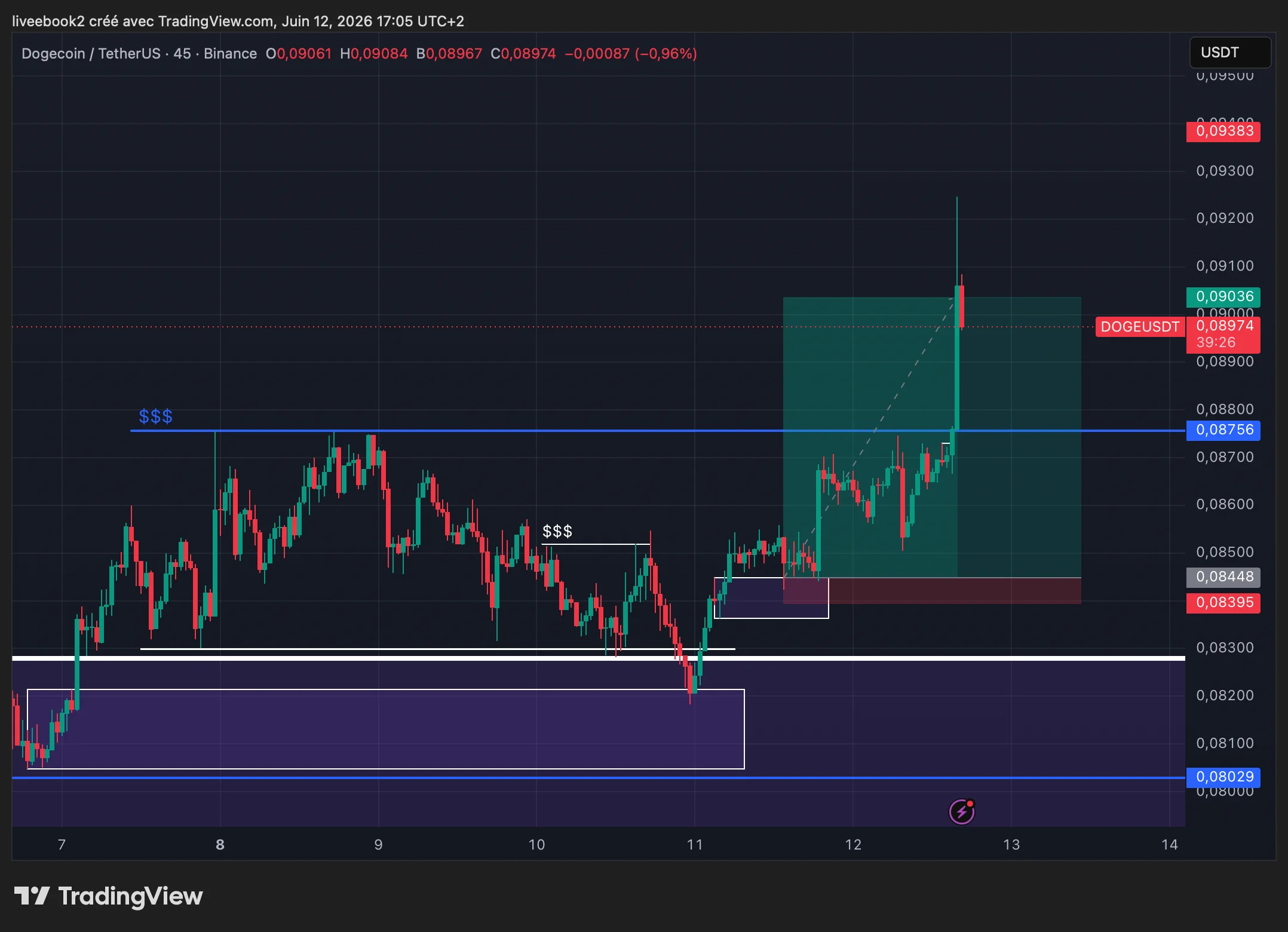 DOGE +11R chart